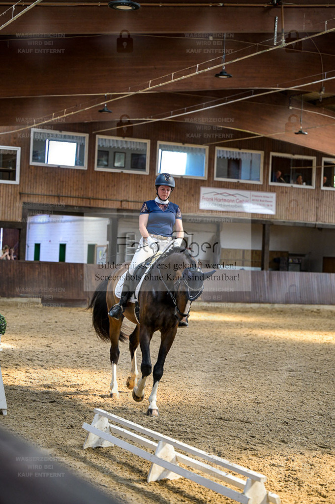Reitturnier Voxtrup | Entdecke hochwertige Reitturnierfotos von Foto Oger. Professionell, emotional und authentisch – jetzt Lieblingsmomente im Shop bestellen. - Realisiert mit Pictrs.com