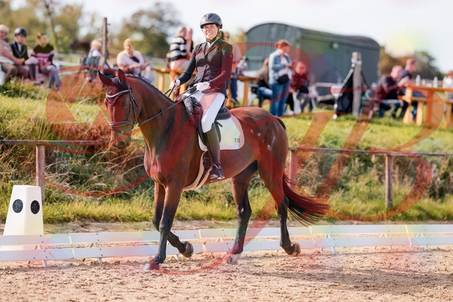 2026_10_03_Siefer-Hof_122628_Z81_25694710 | Professionelle Reitsport-, Turnier- und Eventfotografie von Robert Broda. Galerien mit ausgewählten und bearbeiteten Bildern direkt online ansehen und bestellen.