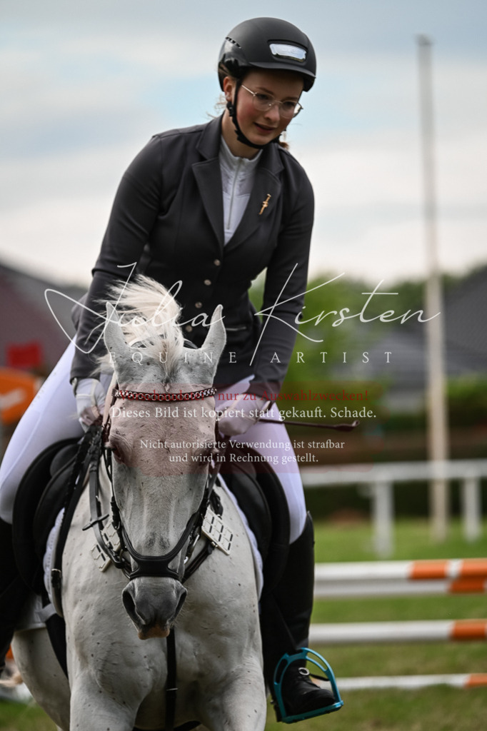 DSC_8635 | Pferde- und Turnierfotografie in Westsachsen. Pferdeportraits, Auftragszeichnungen und intuitive Kunst.