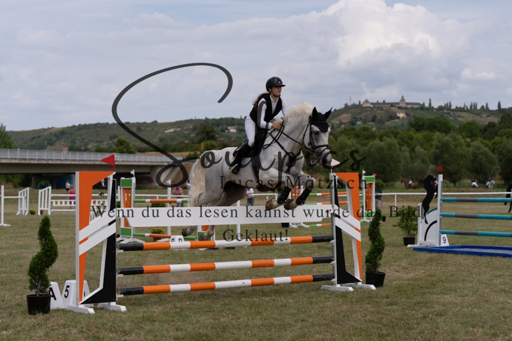 A7V02225 | Pferdefotograf