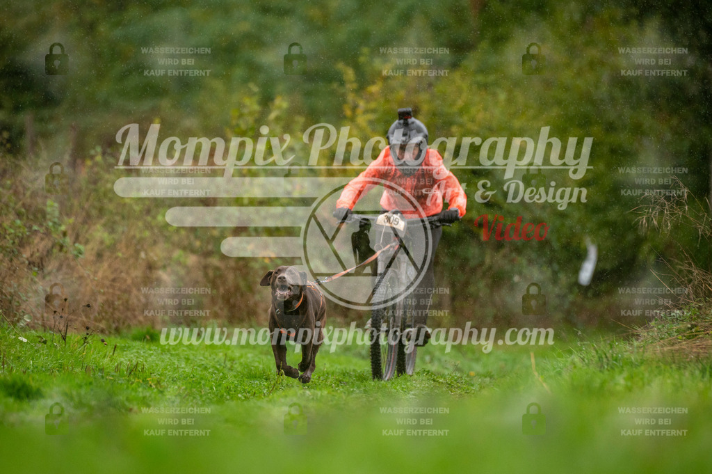 TSB_2023_E6_Bike-53 | PayLife