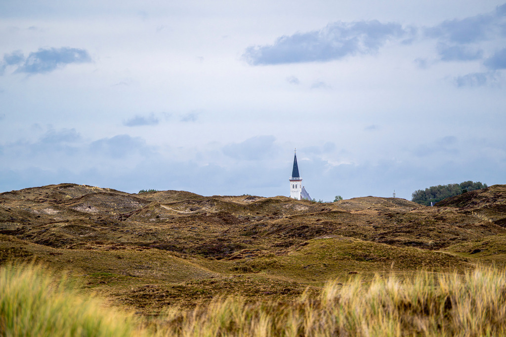 Blick über die Dünenlandschaft auf die Kirchturmspitze von Den Hoorn auf Texel | Die Kirchturmspitze der historischen Moorlandskerk ragt im Süden der holländischen Insel Texel hinter einer sanft geschwungenen Dünenlandschaft empor. Die karge, mit Dünengras und Heide bewachsene Naturkulisse steht unter leicht bewölktem Himmel exemplarisch für die typische Inseltopografie. Das stimmungsvolle Landschaftsmotiv eignet sich ideal für redaktionelle Beiträge über Inseltourismus, Naturschutzgebiet Texel, Dünenlandschaften und Reisekultur in den Niederlanden. - Realisiert mit Pictrs.com
