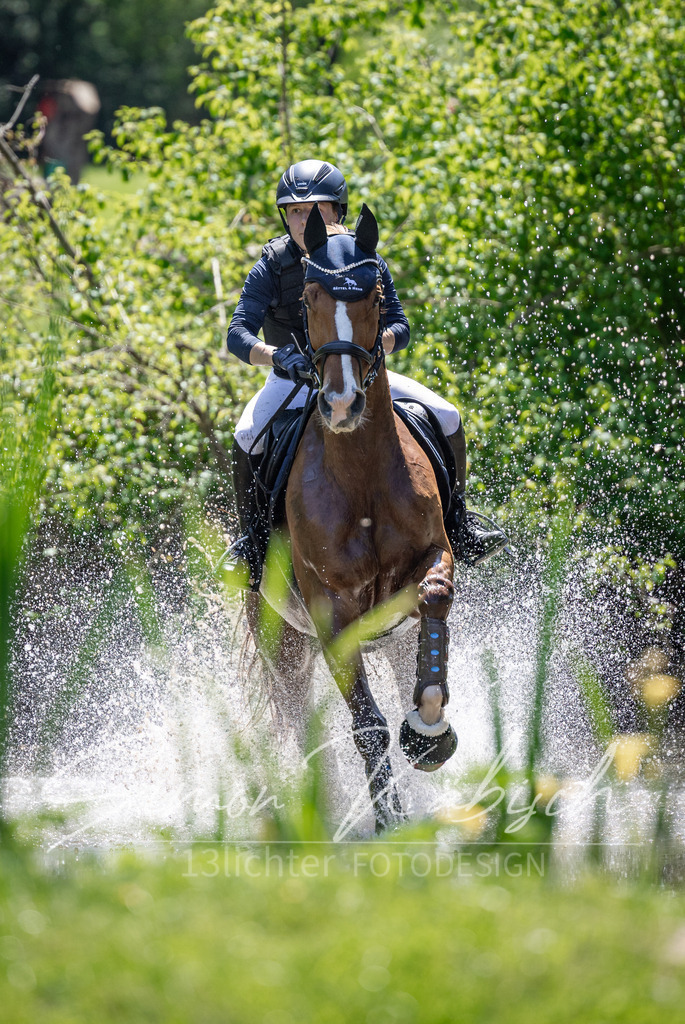 20260523-_3LI8260 | Tierfotografie Pferde, Hunde, Katzen, Haustiere.
Turnierfotografie Reitturniere, Reiten, Springreiten, Dressur in Hanau, dem Main-Kinzig-Kreis und dem Rhein-Main- Gebiet um Frankfurt