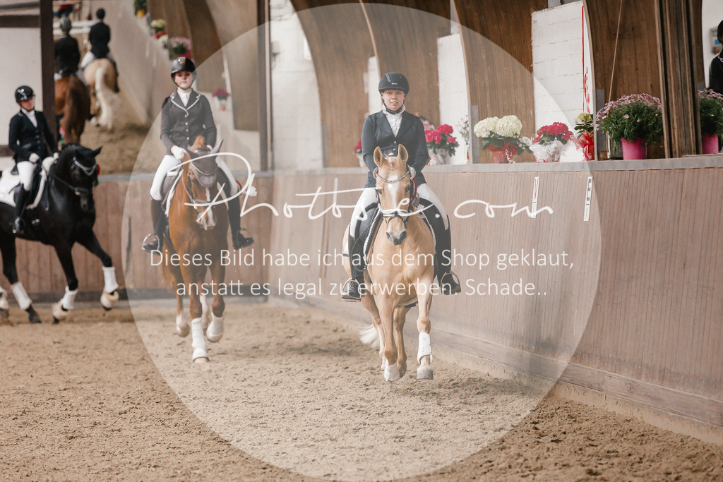 3I6A6985 | Stimmungsvolle Portraits und Reitsportfotografie im Ruhrgebiet und im Münsterland.

Pferdefotografie, Hundefotografie, Tierfotografie, Reportagen, Portraits von Tier und Mensch, Turnierfotografie in Bochum, Recklinghausen, Marl, Haltern am See, Dülmen.. - Realisiert mit Pictrs.com