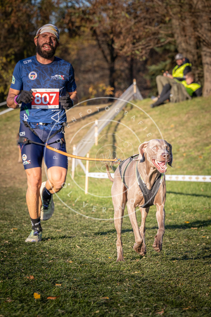 CaniXpix_0L8A0402 | Hundefotografie, Tierfotograf, Pfotenfotografie, Fotoshooting Hund, Hunde Portrait, Hundesport, Hundeportraits, Heideshooting, Hunde, Sportfotograf, Hundefotograf, Turnierhundsport, THS,  - Realisiert mit Pictrs.com
