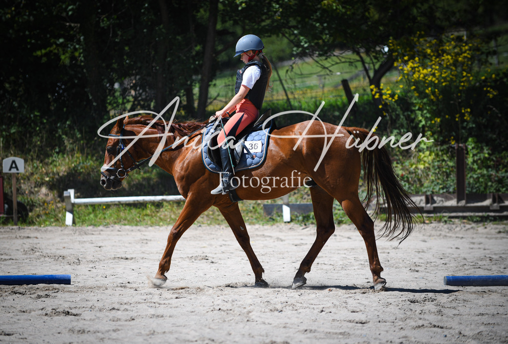 DSC_1024 | anikahuebner - Realisiert mit Pictrs.com