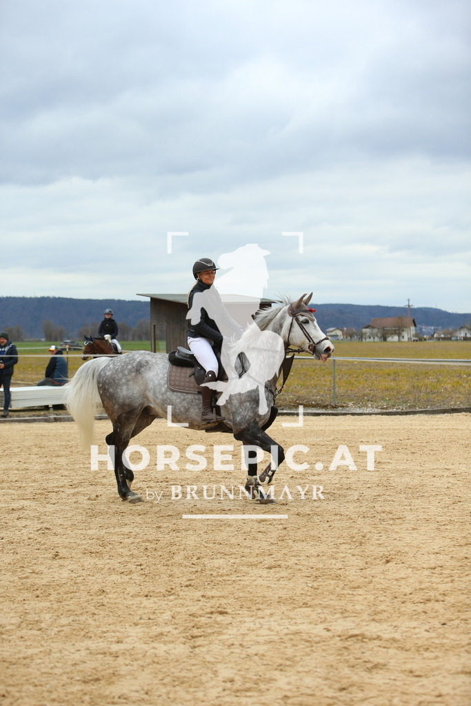 DL2Q2563 | Willkommen bei Brunnmayr - Design & Fotografie – Ihrem Spezialisten für Reitturniere und Pferdeveranstaltungen in Oberösterreich, Salzburg und Bayern! Seit über 17 Jahren sind wir leidenschaftlich dabei.