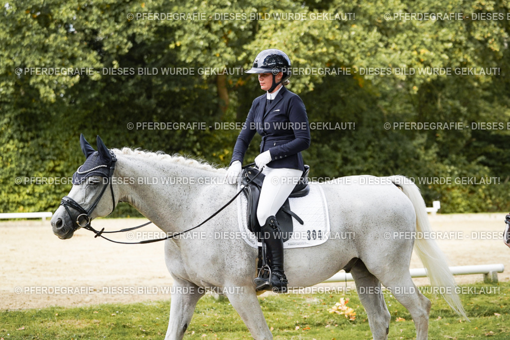 DSC02902 | Pferdegrafie