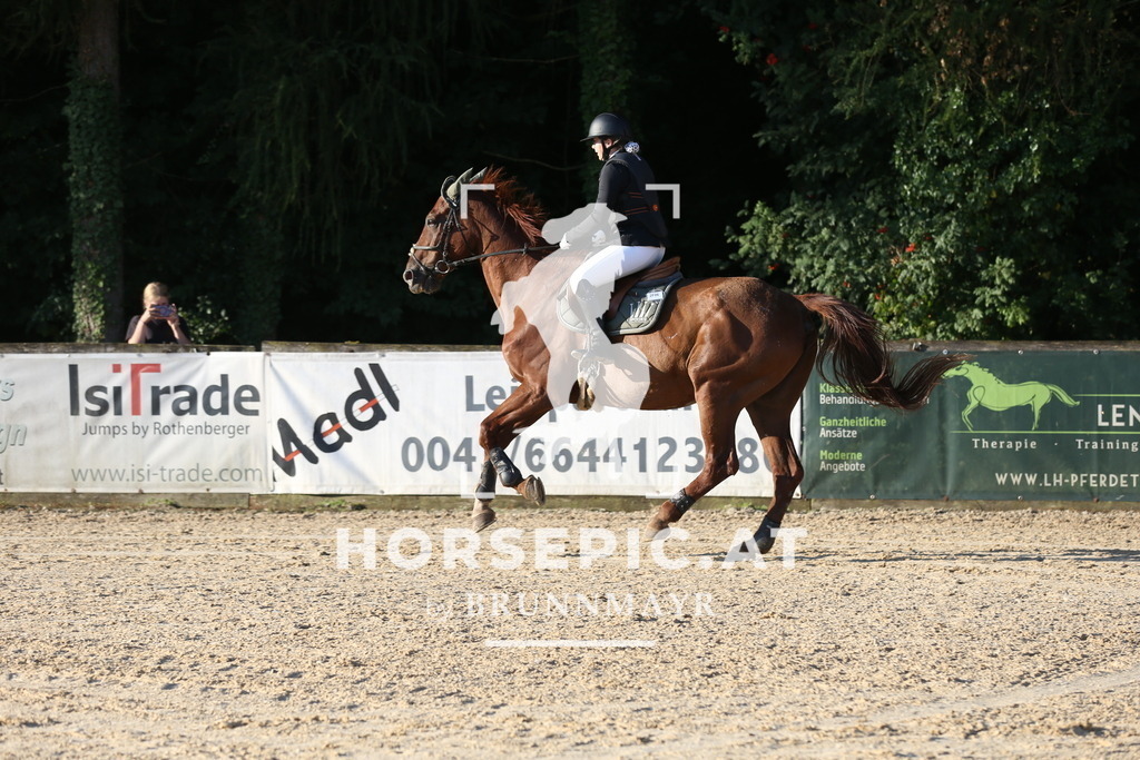 DL2Q7185 | Willkommen bei Brunnmayr - Design & Fotografie – Ihrem Spezialisten für Reitturniere und Pferdeveranstaltungen in Oberösterreich, Salzburg und Bayern! Seit über 17 Jahren sind wir leidenschaftlich dabei.
