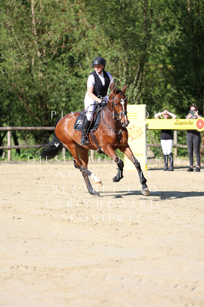 IMGS5237 | pl-fotografie