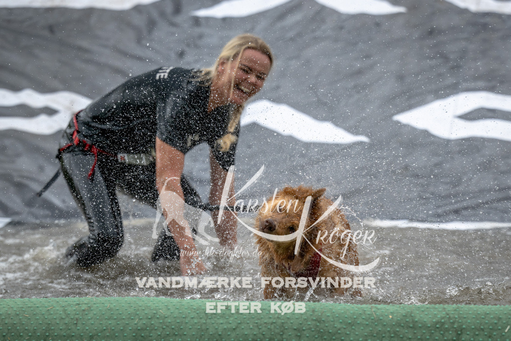 1218_ZZ94608 | kk-dogfotos