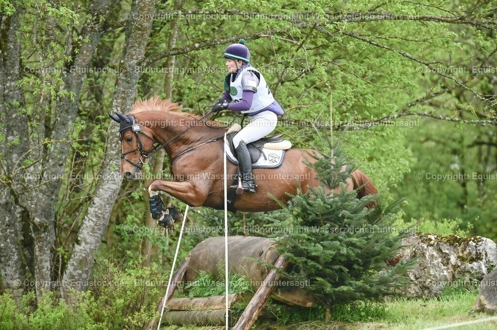 20230513_CCI2_Section2_Gelände_0151 | equistock