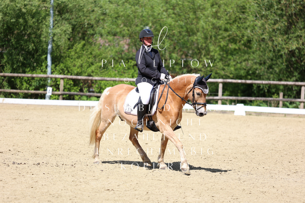 IMGS4024 | pl-fotografie