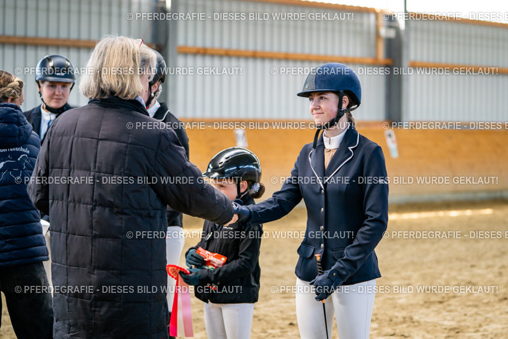 DSC01373 | Pferdegrafie