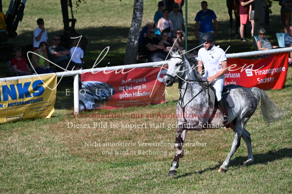 DSC_2584 | Pferde- und Turnierfotografie in Westsachsen. Pferdeportraits, Auftragszeichnungen und intuitive Kunst.