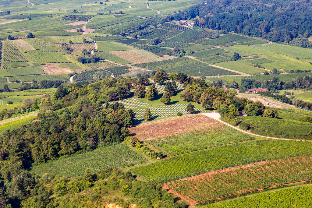 Aerial view: Soldiers' Cemetery: A Reminder for Peace. 5309 German war dead who fell in World War II lie in four burial grounds. in Bergheim in the state Haut-Rhin, France. – Photo: IMG_093323.jpg taken on 08/16/2016 by Werner Riehm/FLY-FOTO.com – Resolution of the original: 4432 x 2955 px