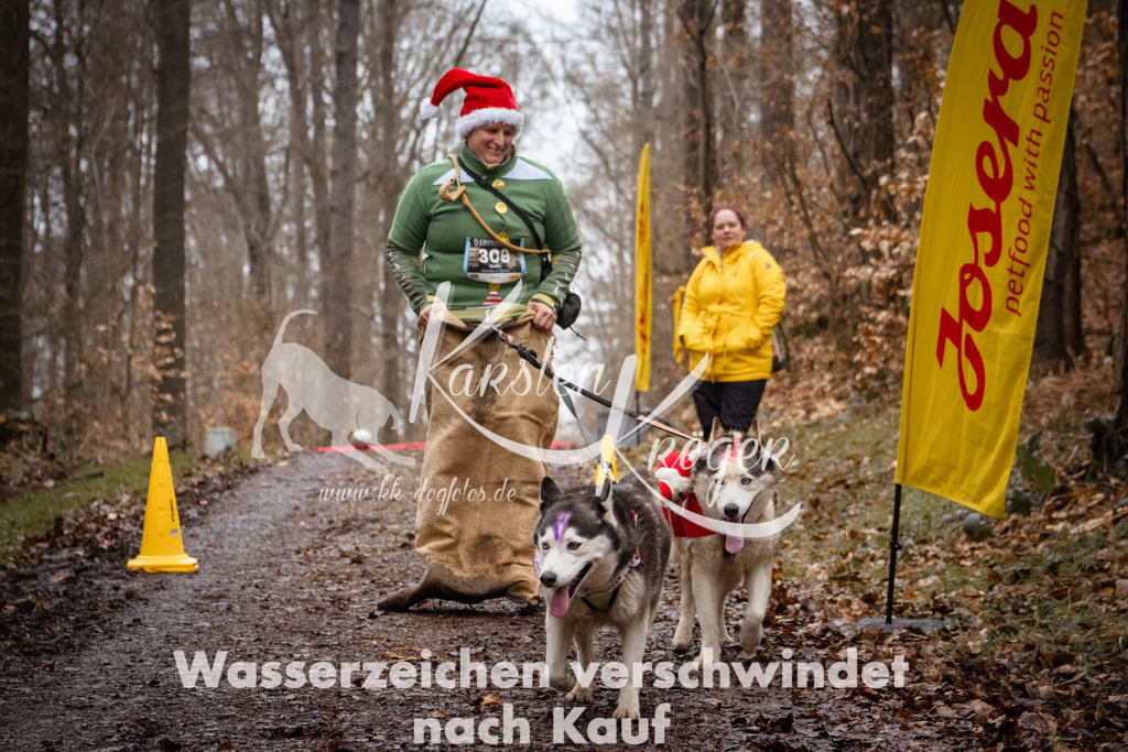 1142_ZZ91316 | kk-dogfotos