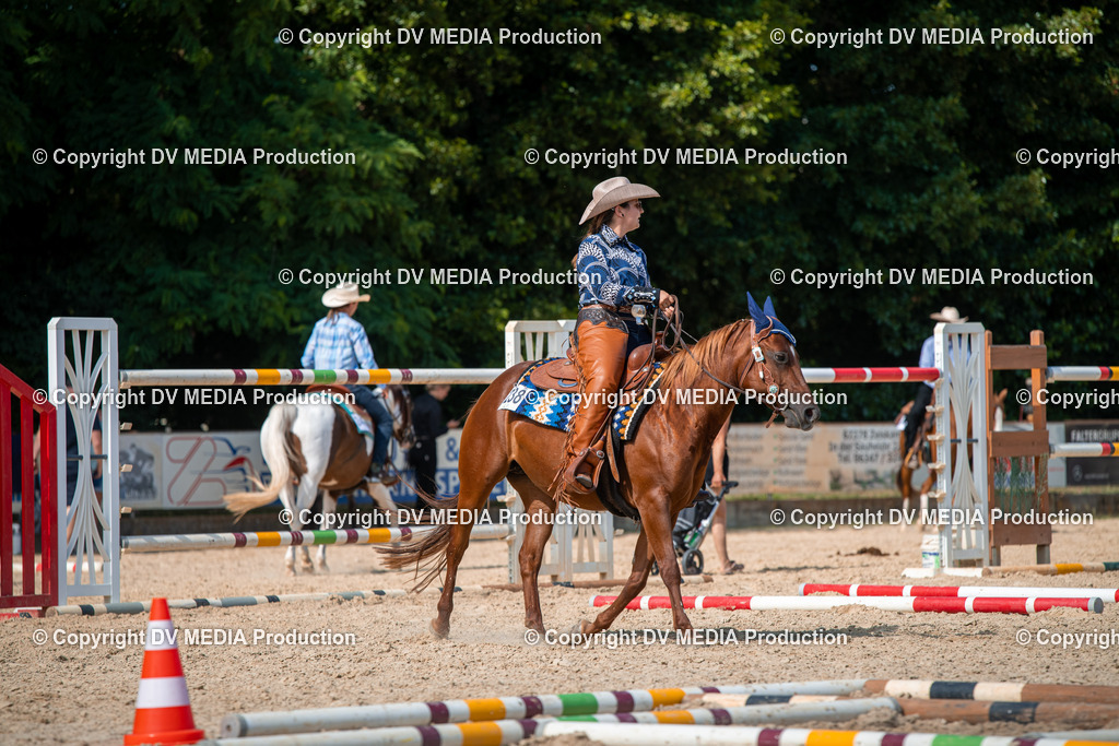 EWP_6844 | dv-media-shop - Realisiert mit Pictrs.com