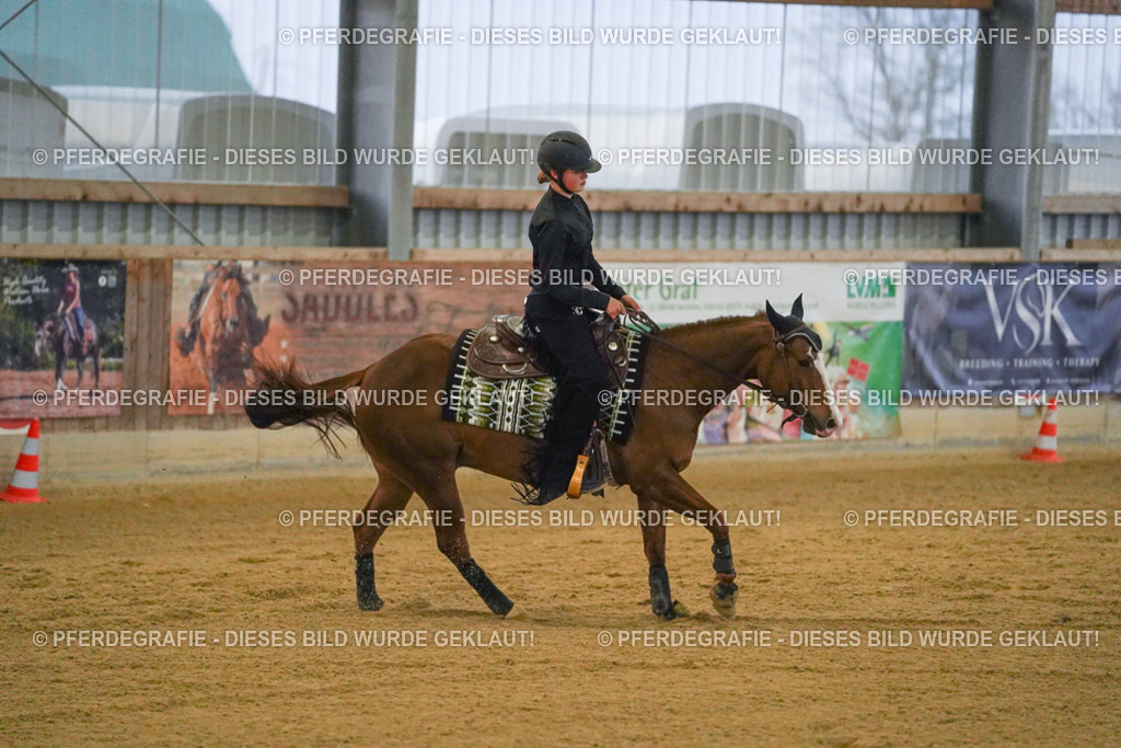 DSC09521 | Pferdegrafie