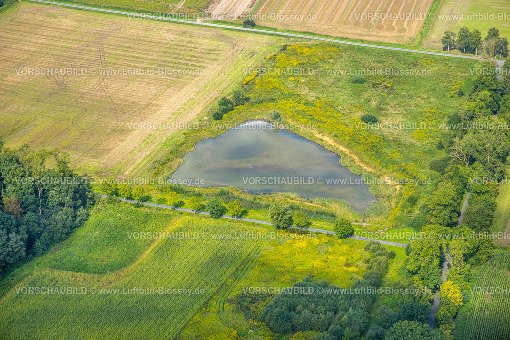 Hamm230900010 | Luftbild, Teich und Wiese an der Kleistraße, Stadtbezirk Heessen, Hamm, Ruhrgebiet, Nordrhein-Westfalen, Deutschland