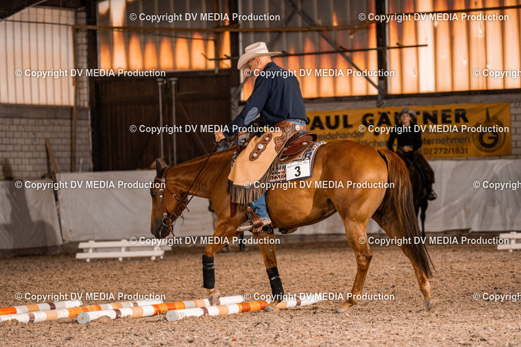 ZH300234 | dv-media-shop - Realisiert mit Pictrs.com