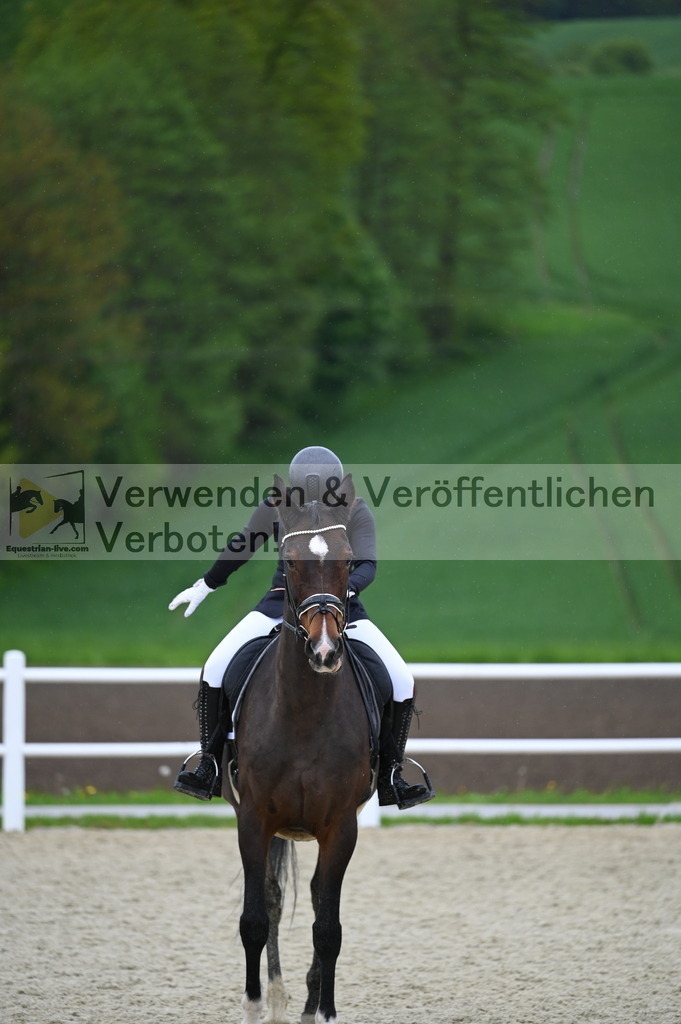 DSC_0177 | equestrian-live-com