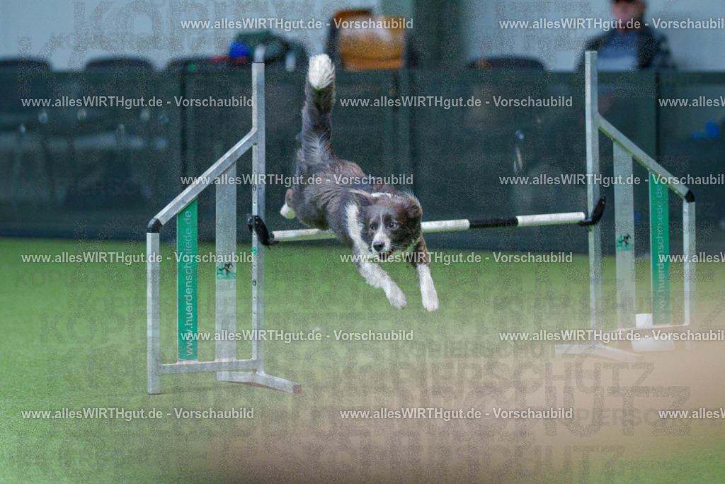 @allesWIRTHgut_Tierfotografie - www.allesWIRTHgut.de - 2604251109-7R501290 | Professionelle Tierfotografie in Mönchengladbach von Daniel Wirth (allesWIRTHgut). Liebevolle & natürliche Bilder von Hunden & Katzen für unvergessliche Erinnerungen.