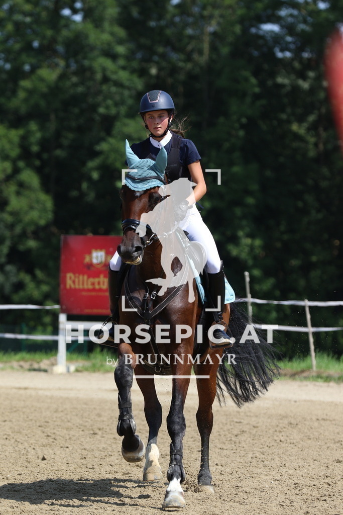 7V2A3055 | Willkommen bei Brunnmayr - Design & Fotografie – Ihrem Spezialisten für Reitturniere und Pferdeveranstaltungen in Oberösterreich, Salzburg und Bayern! Seit über 17 Jahren sind wir leidenschaftlich dabei.