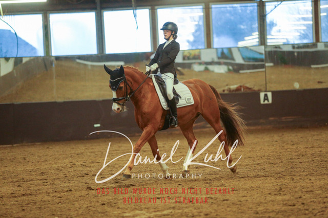 IMG_8277 | Turniersportfotografie; Pferdefotografie; Dressurfotografie