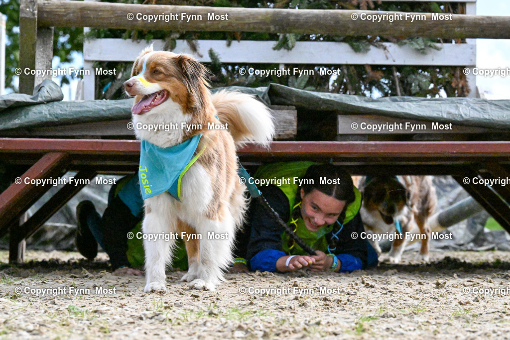 DSC_0332 | Hallo und herzlich Willkommen auf meiner Shop-Seite Fynn Most.

Ich wünsche Dir viel Spaß beim stöbern durch die Bilder, wenn Du Fragen hast oder Bilder vermisst, kannst du mir gerne eine Nachricht schreiben. - Realisiert mit Pictrs.com