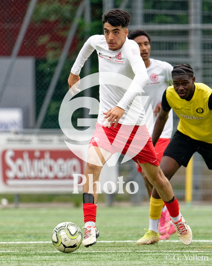 DSC_6672 | Velletri Photo