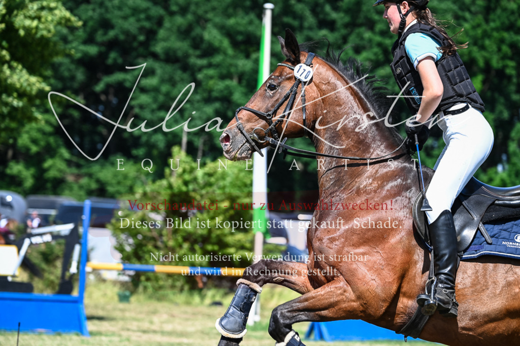DSC_1505 | Pferde- und Turnierfotografie in Westsachsen. Pferdeportraits, Auftragszeichnungen und intuitive Kunst.