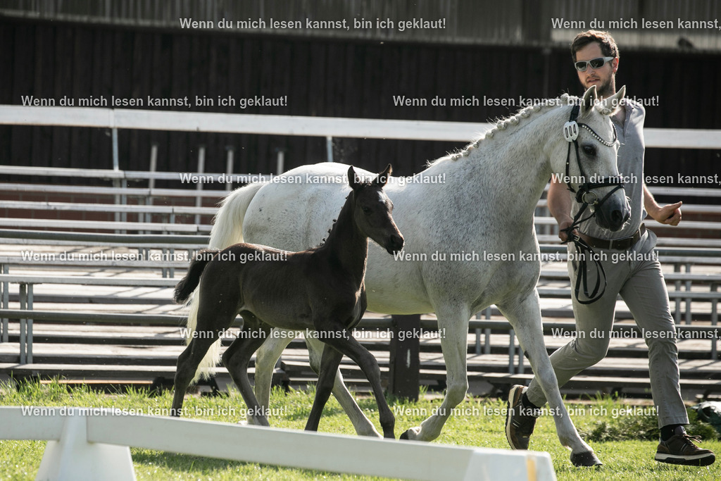 598A6922 | photographylinaismer - Realisiert mit Pictrs.com
