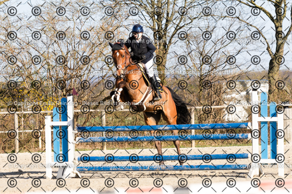 CL5A3393 | Emilia Reinking Fotografie - Realisiert mit Pictrs.com