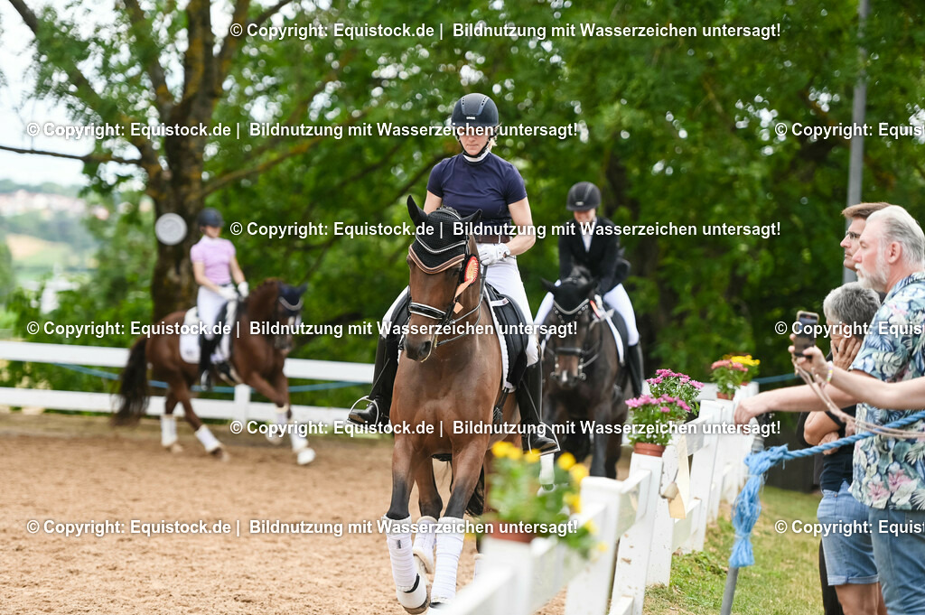 20230716_01_Dressurprüfung Kl.M_0713 | equistock