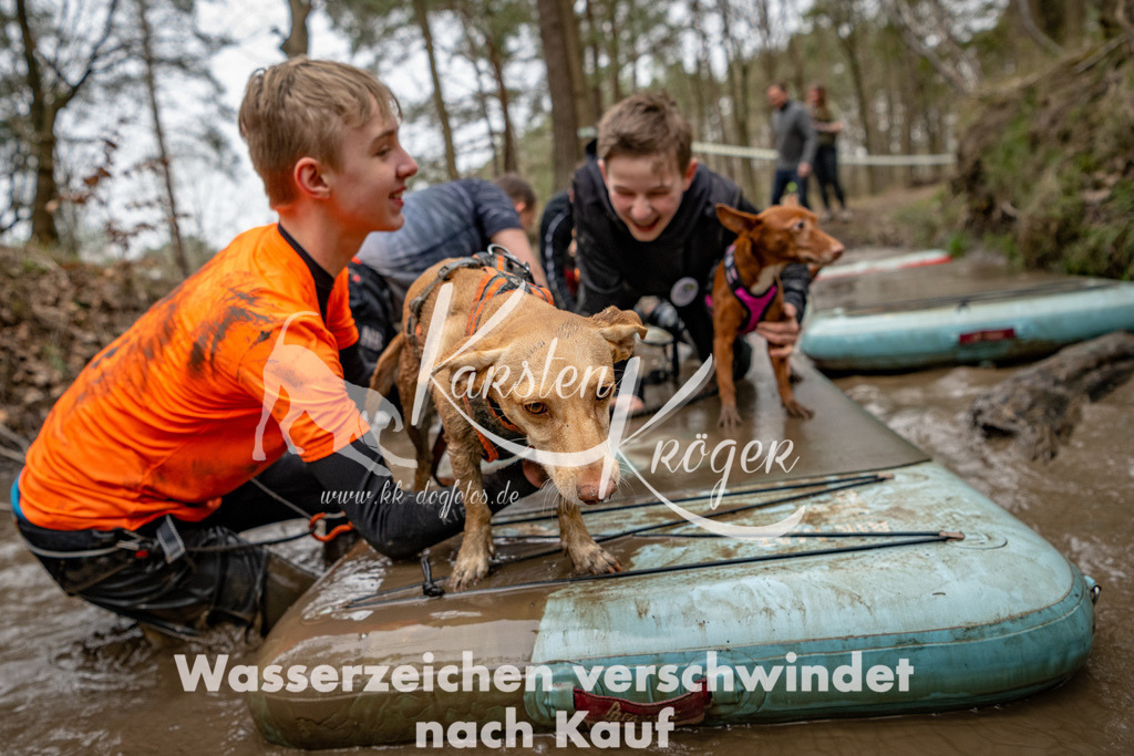 1246DSC_8132-2 | kk-dogfotos
