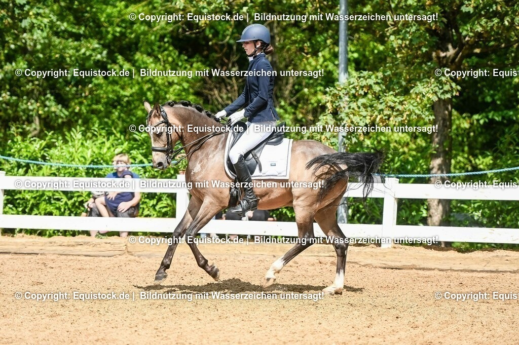 20230716_01_Dressurprüfung Kl.M_0218 | equistock