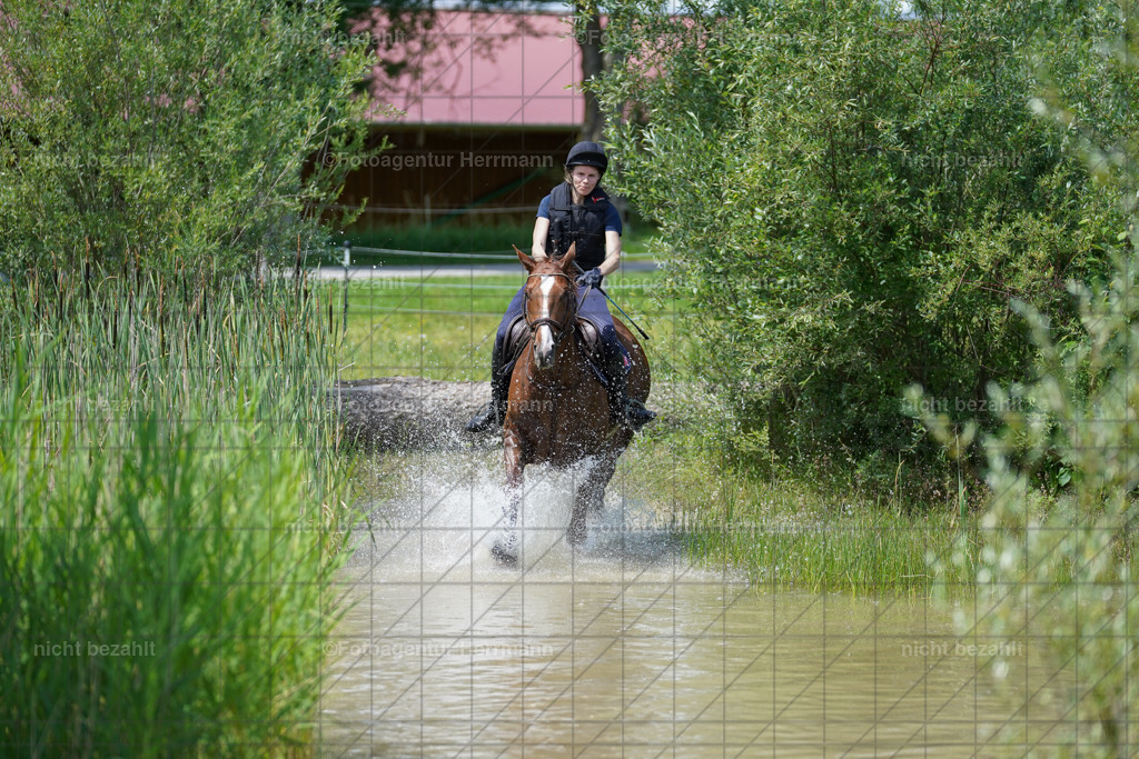 20240622-FAH07158 | Turnierfotografen Bayern, Reitsportbilder aus dem Geländekurs mit Felix Etzel auf dem Gut Waitzacker 2024