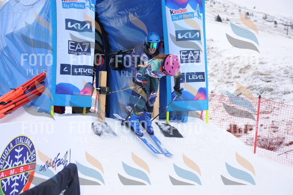 DSC_7855 | holidayphoto