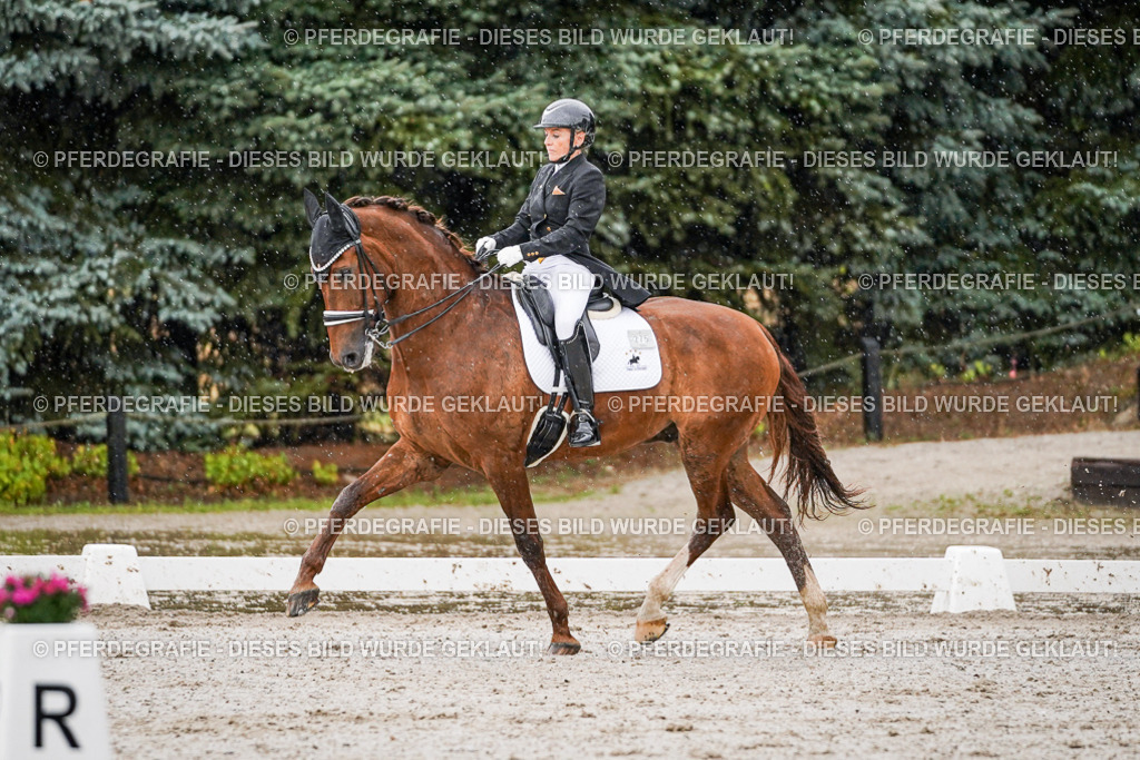 DSC09013 | Pferdegrafie