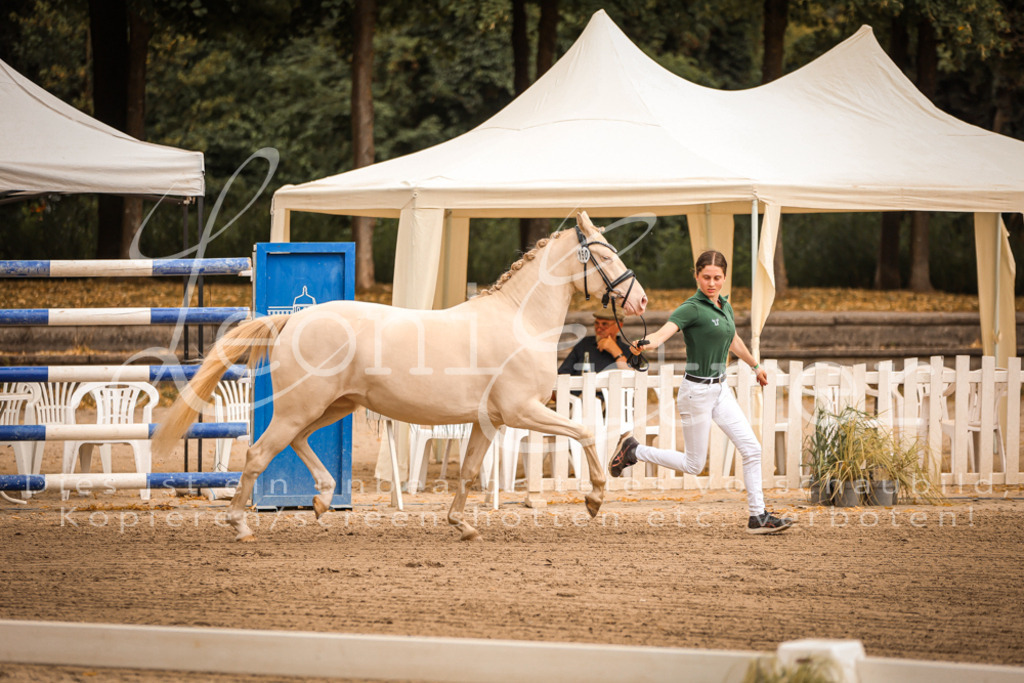 07.So00084 | Leoni Ertmer Photography - Realisiert mit Pictrs.com