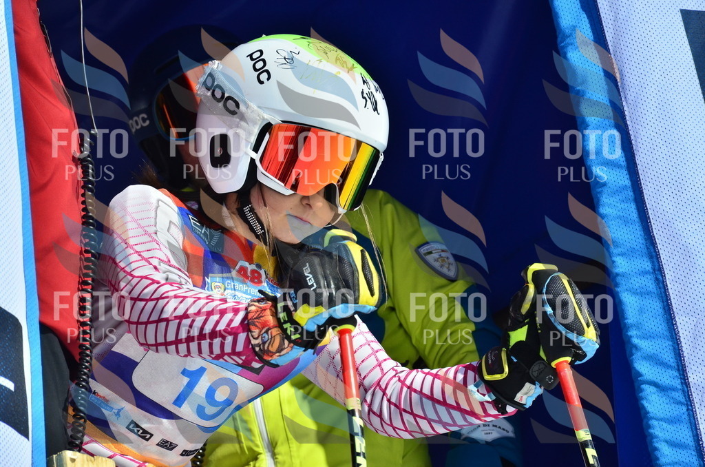 _ELE9868 | holidayphoto