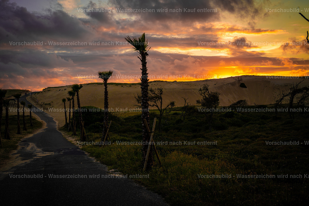 DSC01881 | marcuslinek