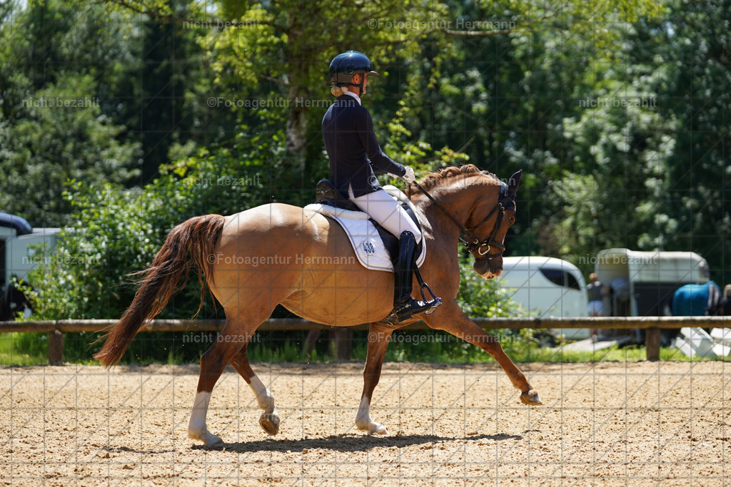 20240705-FAH04037 | Turnierbilder von Grafing, Reitsportbilder, Turnierfotos, Turnierfotografen Bayern, Pferdefotograf, Fotoagentur Herrmann