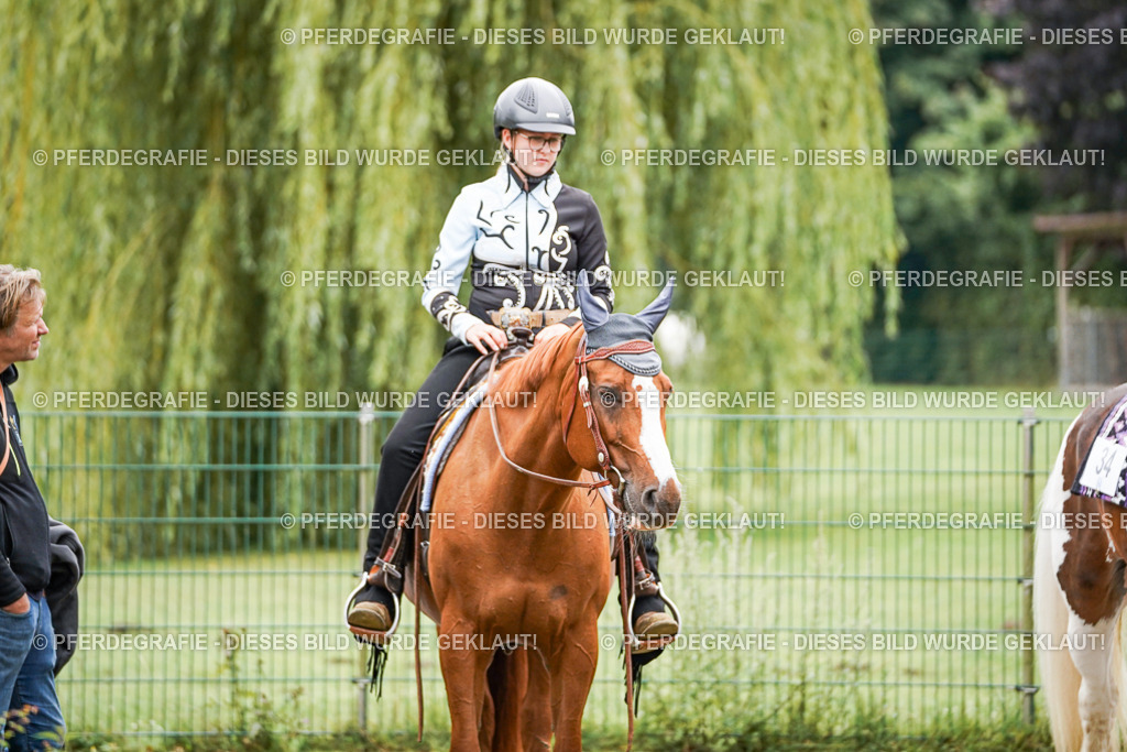 DSC03907 | Pferdegrafie