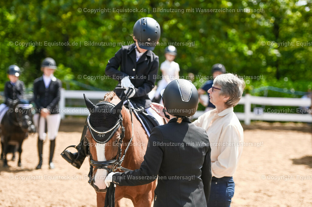 20230716_11_Führzügel-WB_0240 | equistock