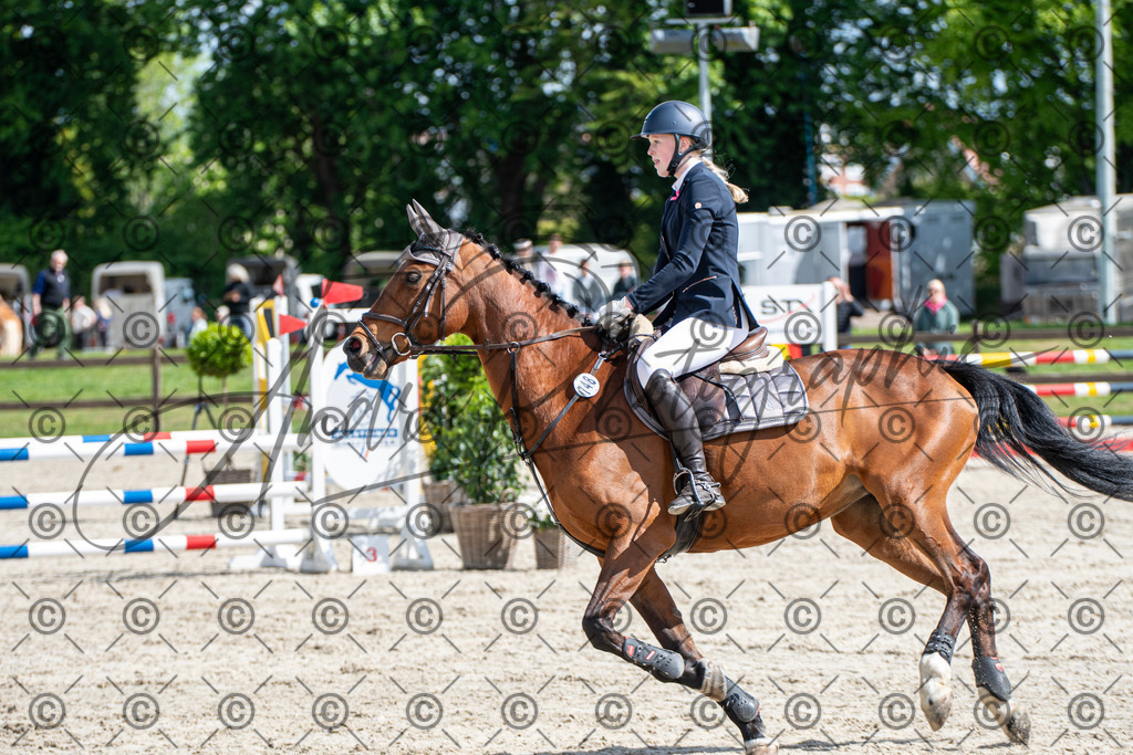 KPT_4921 | andre_photographic