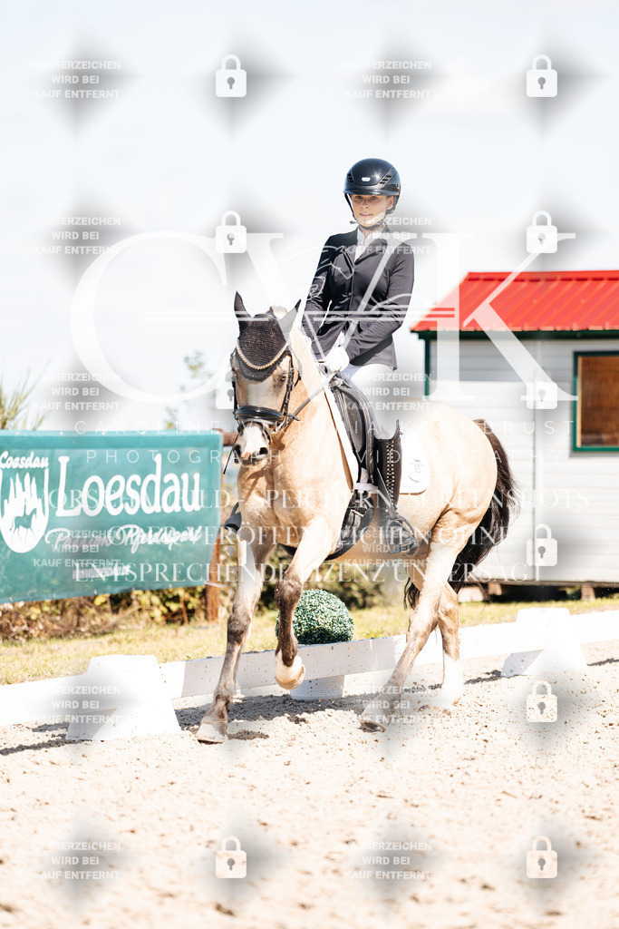 CK903846 | Turnierfotografie Pferdefotografie Trier Rheinland-Pfalz Pferdesport Reitsport Tierfotografie Sportfotografie Pferdevideo Pferdevideografie Equestrianvideography equestrianphotography  - Realisiert mit Pictrs.com
