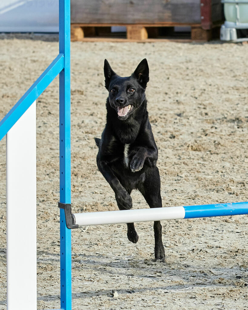 580B0018 | Peter Fridle Fotografie - Realisiert mit Pictrs.com