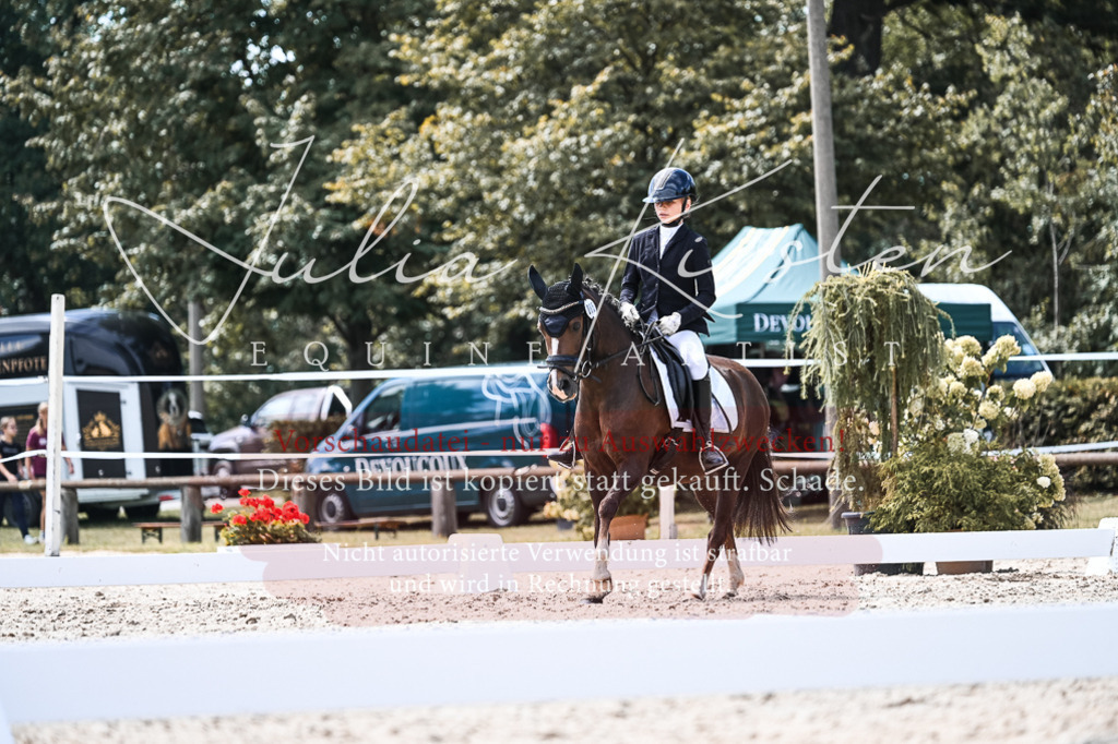 DSC_5731 | Pferde- und Turnierfotografie in Westsachsen. Pferdeportraits, Auftragszeichnungen und intuitive Kunst.